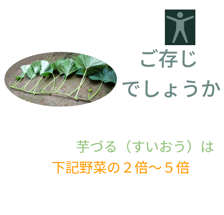 野菜の栄養価。芋づる（すいおう）は、ホウレンソウ、小松菜、ニラ、キャベツ、セロリ、チンゲンサイの2倍～5倍の栄養価があります。