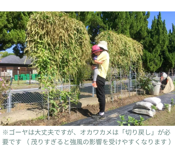 「バラ用支柱」のコンセプト画像。「目線の高さで楽しめる垂直栽培の魅力」。高さ200cmの支柱が、花や緑を人の視界レベル（アイレベル）まで持ち上げ、美しい景観を作ると同時に、外部からの視線を自然に遮る「見せないガード」としての機能を示唆。 / Concept text: "Charm of Vertical Cultivation enjoyed at Eye Level." Indicates that the 200cm trellis lifts plants to human height, creating a beautiful floral landscape that also serves as a natural privacy shield against outside eyes.