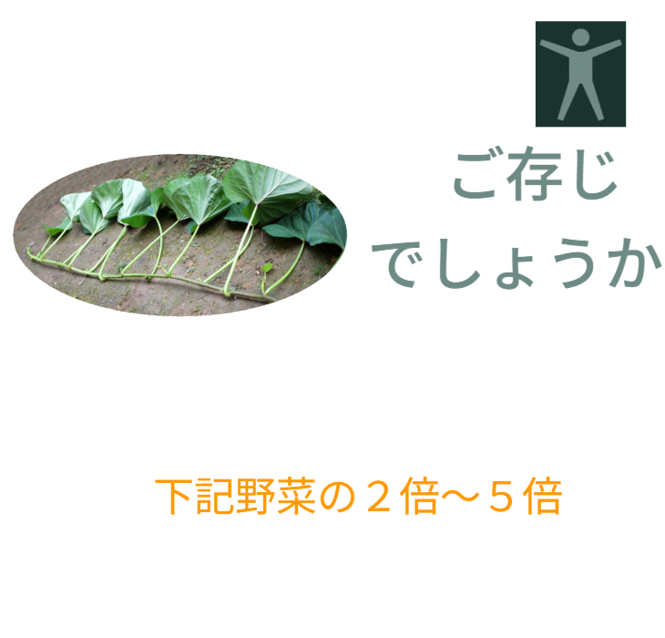 野菜の栄養価。芋づる（すいおう）は、ホウレンソウ、小松菜、ニラ、キャベツ、セロリ、チンゲンサイの2倍～5倍の栄養価があります。