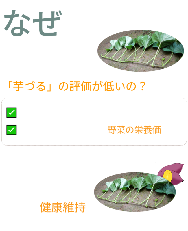 なぜ、過去の食料危機対策で「芋づる」の評価が低いの？　・さつまいも：根菜類／供給熱量（カロリー）　・芋づる：葉茎菜類／野菜の栄養価　　どちらも健康維持に欠かせない（カロリー＆野菜の栄養価）