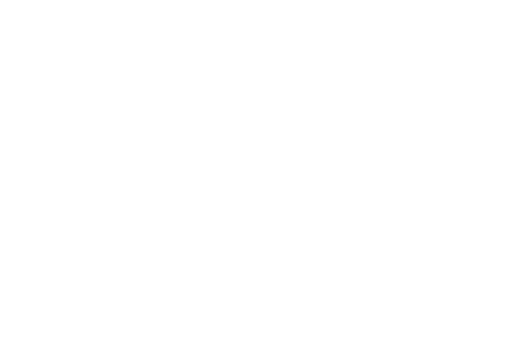 自ら行動する この取り組みが人々の意識を大きく変え、現在も「おうちの家庭菜園」として受け継がれています。